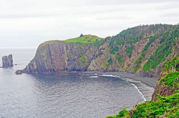 Coastal Cliffs on a foggy day — Stock Photo, Image