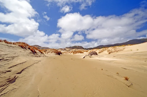 Dunes de sable sur un rivage éloigné — Photo