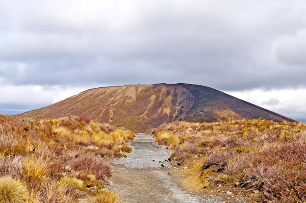 Cono de ceniza en una llanura volcánica —  Fotos de Stock