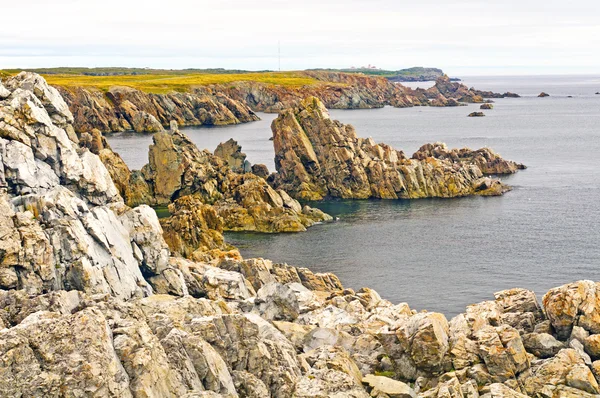 Taggiga klipporna på newfoundland kusten — Stockfoto