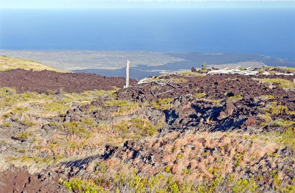 Flujo de lava antigua que conduce al océano —  Fotos de Stock