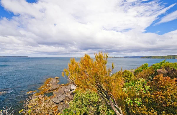 Vista spettacolare da un belvedere sull'oceano — Foto Stock