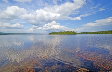 vahşi doğa göl bir yaz gününde