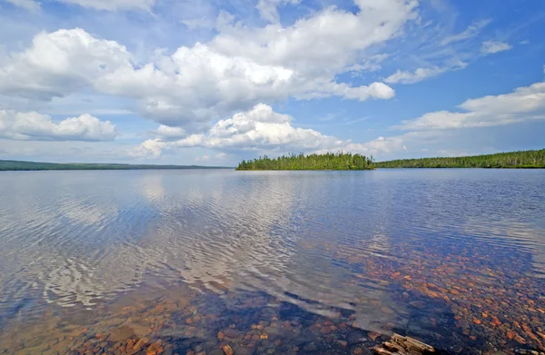 Divočina jezero na letní den — Stock fotografie