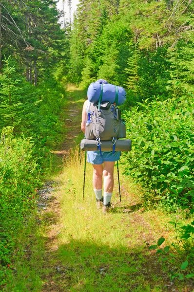 Caminhante em um Wilderness Trail — Fotografia de Stock