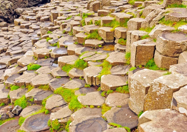 Baslatische Säulendetails in einer natürlichen Felsformation — Stockfoto