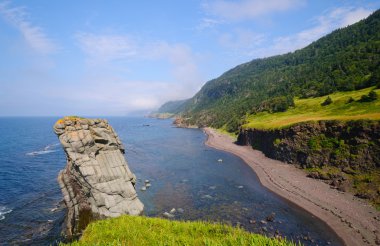 uzak deniz kıyısında, newfoundland