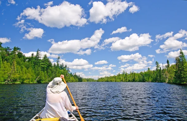 Canoa su un lago nel bosco del nord — Foto Stock