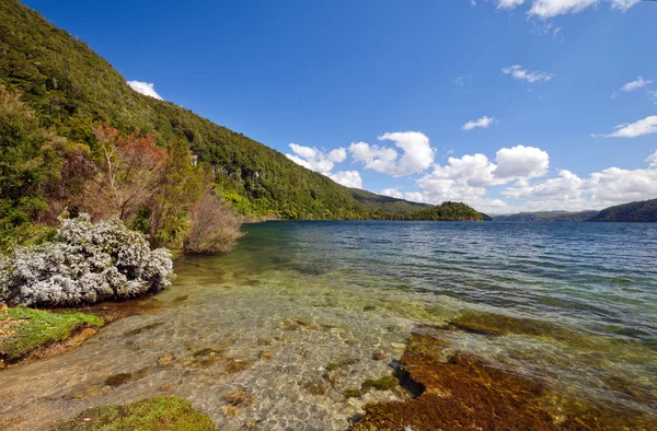 Grundet av en fjällsjö — Stockfoto