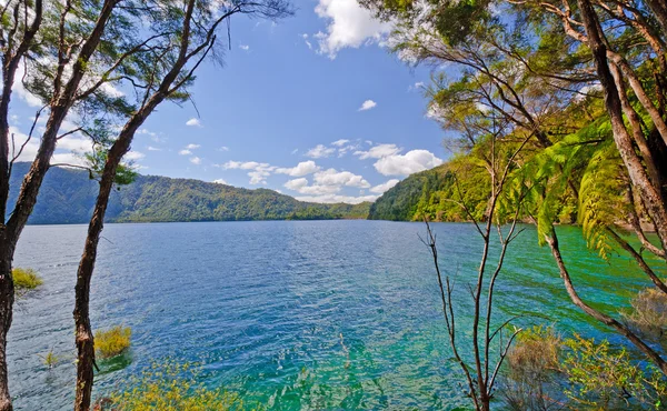 Lacul albastru și cerul într-o zi de vară — Fotografie, imagine de stoc