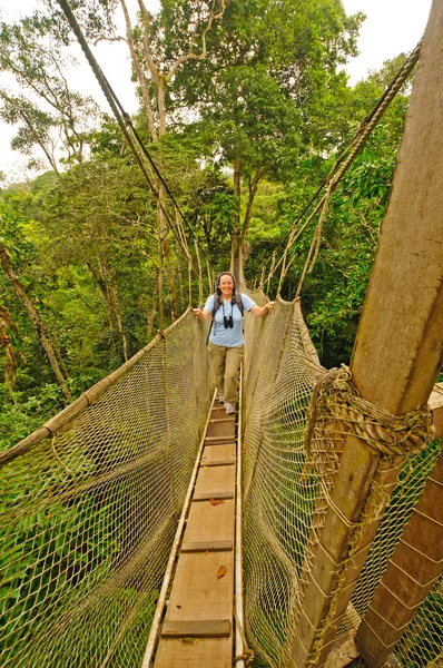 Caminhante na árvore Caminhada de dossel acima da floresta tropical — Fotografia de Stock
