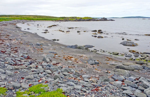 Playa rocosa en una costa estéril en Terranova —  Fotos de Stock