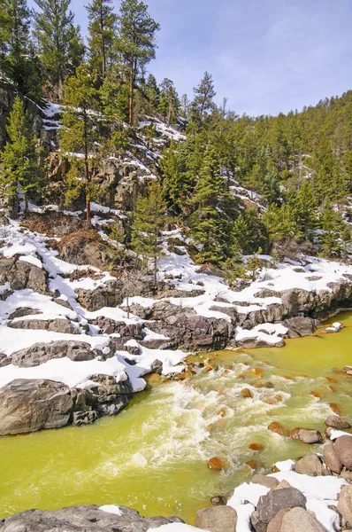 春の雪の渓流 — ストック写真