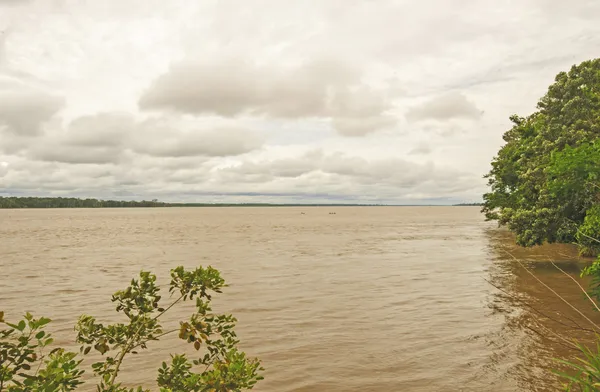 Hoog water op de Amazone — Stockfoto