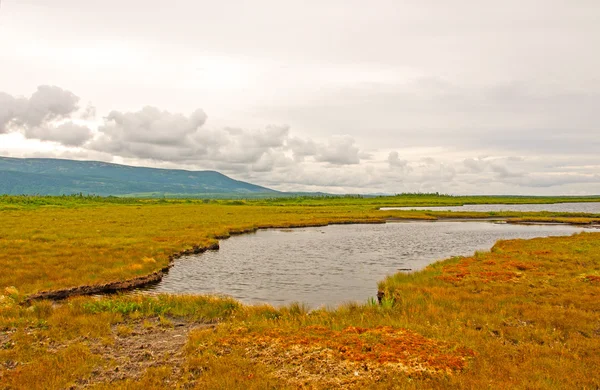 Boglands on a Cloudy Day — Stock Photo, Image