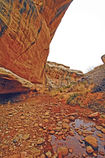 Тихий ручей в каньоне пустыни — стоковое фото