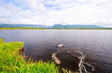 güneşli bir günde uzak gölet
