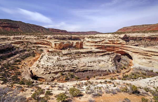 Kanion i czerwone skały na pustyni — Zdjęcie stockowe