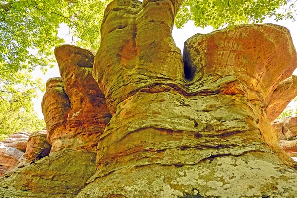 Bunte Sandsteinformationen im Schatten des Waldes — Stockfoto