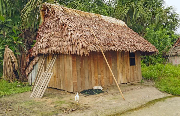 Dom w miejscowości Amazonka — Zdjęcie stockowe