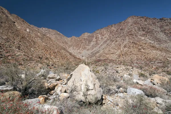 Panoramic View in a Desert Canyon — Stock Photo, Image