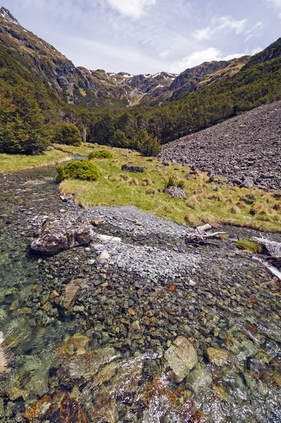 Flusso di montagna in un giorno soleggiato — Foto Stock