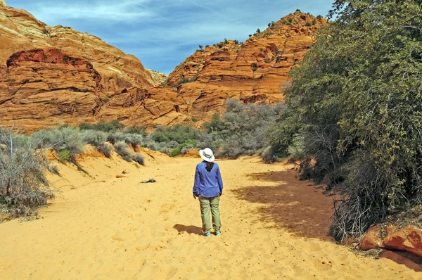 Caminhando em um Desert Canyon — Fotografia de Stock
