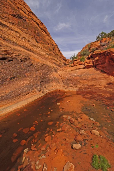 Étang caché dans un canyon désertique — Photo