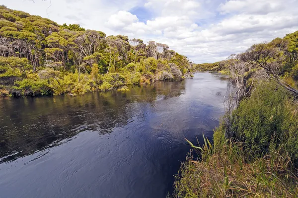 Río remoto en una isla subtropical — Foto de Stock