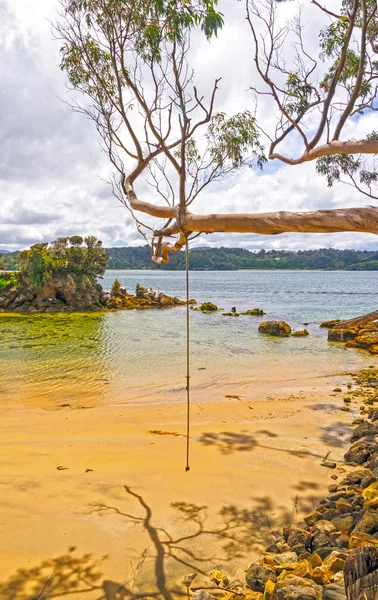 Swinging Rope over a remote Ocean Bay — Stock Photo, Image