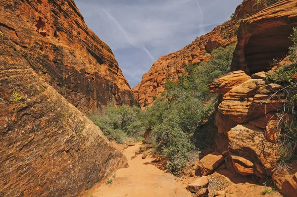 Szlak w kanionie na pustyni — Zdjęcie stockowe