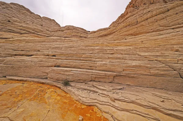 Een natuurlijke amfitheater in de woestijn — Stockfoto