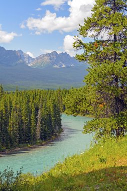 Bir yaz gününde dağ nehri