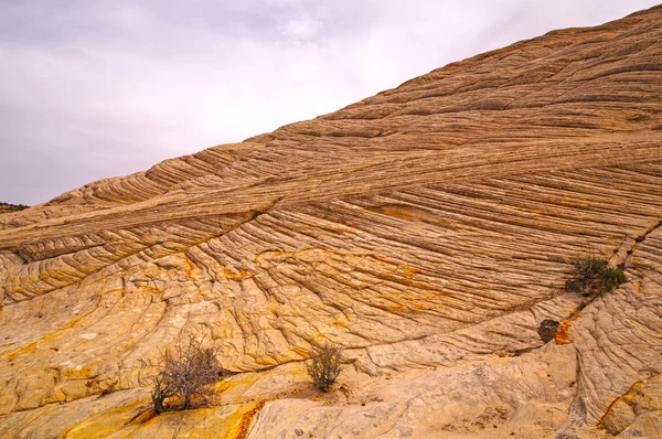 在沙漠里的白砂岩岭 — 图库照片