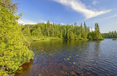 north Woods korumalı cove