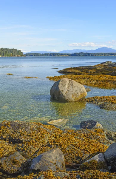 Kustnära klippor vid lågvatten — Stockfoto