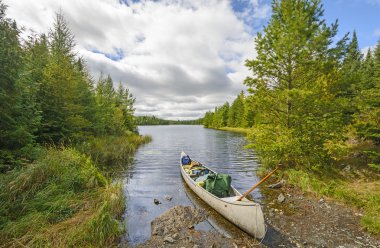dışarı bir vahşi doğa göl başlığı