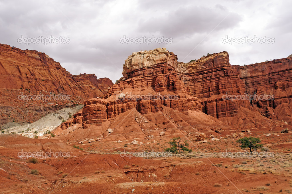 Red Rock Columns in the Desert