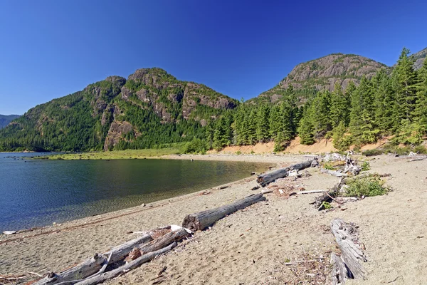 Praia selvagem em um lago de montanha — Fotografia de Stock