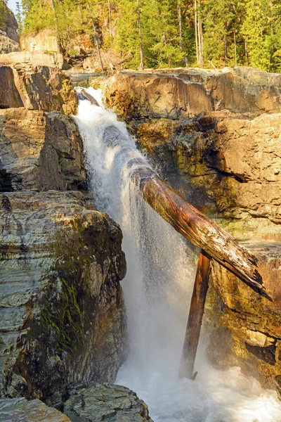 Dramatic Log Jam em uma cachoeira — Fotografia de Stock