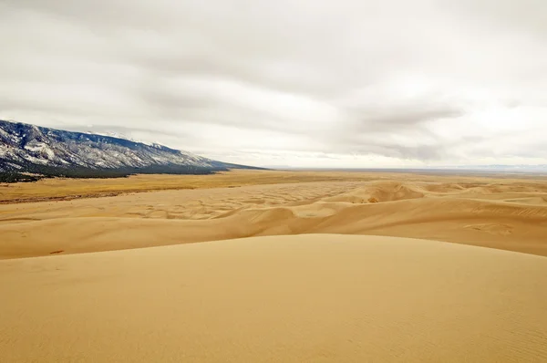 Sanddünen-Panorama — Stockfoto