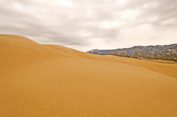 曇り空の下で砂丘 — ストック写真