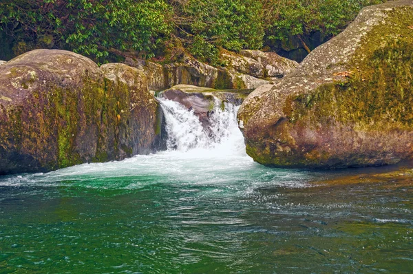 Rejtett medence egy erdei patak — Stock Fotó