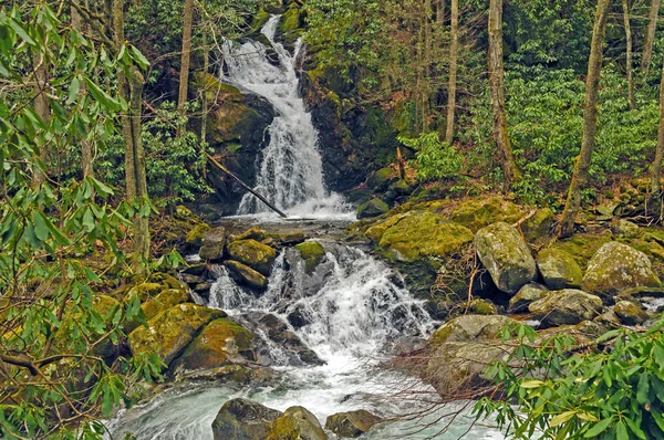 Malerische Wasserfälle in den wilden Bergen — Stockfoto