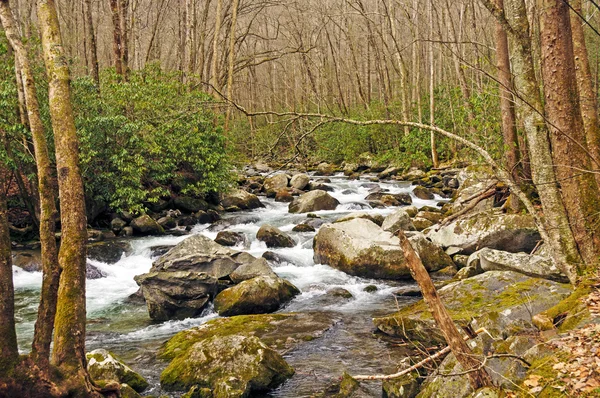 Arroyo rocoso en un bosque de montaña —  Fotos de Stock