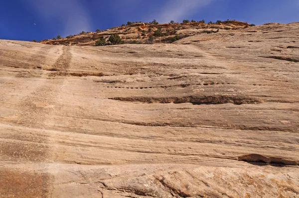 Mur de grès à Red Rocks Pays — Photo