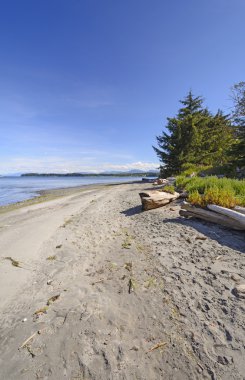 bir okyanus kıyısındaki uzak beach
