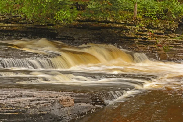 Acqua che scorre in un fiume della foresta — Foto Stock