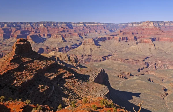 Kveldsskygger i Grand Canyon – stockfoto