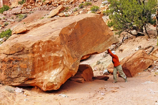 Clearing the Trail in the Wilderness — Stock Photo, Image